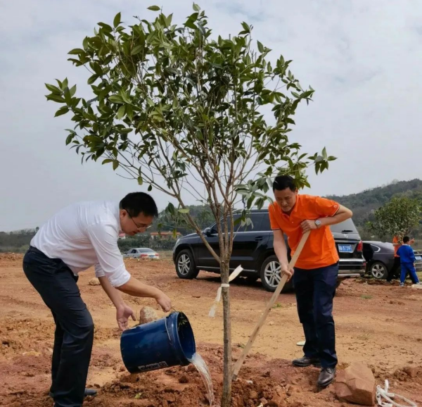 湖南草字頭生態環境建設有限公司,人造草坪假草皮,湖南雨水收集處理工藝